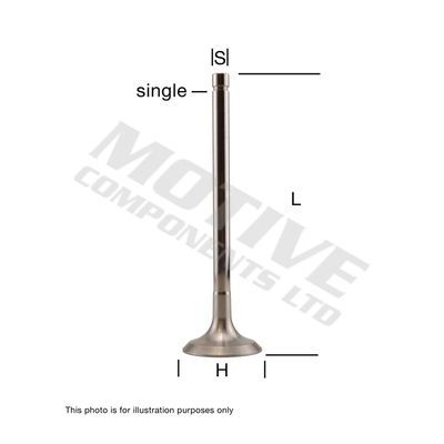 Supap  SUPAR 102910116