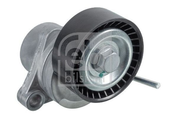 Vantilatör Kayış Gergi Rulmanı  Peugeot 307 CC Cabrio-Coupe (S1)(10.2003->06.2005)  FEBI BILSTEIN 31076