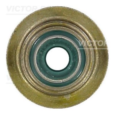 Supap Lastiği  REINZ 70-33032-00