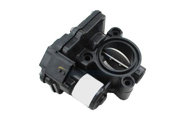 Gaz Kelebeği  Renault Koleos II (05.2017->)  RENAULT ORJINAL 161A06251R