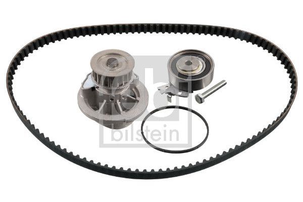 Triger Kayış Seti  Daewoo Kalos (2002->)  FEBI BILSTEIN 173249