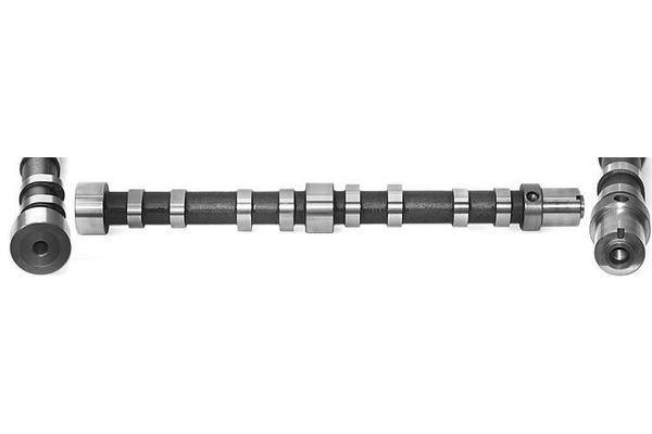 Eksantrik Mili  Fiat Ducato Maxi Kamyonet / Damperli Çift kab 40 (295)(04.2014->)  BSG 25-108-014