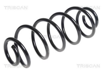 Helezon Yayı Arka GUNSAN 060019  5102CH