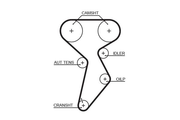 Triger Kayışı  Fiat Multipla (186)(09.2004->)  GATES 5432XS