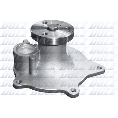 Devirdaim Su Pompası  DOLZ C142