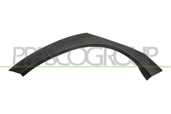 Çamurluk Kaplaması Arka Sağ EUROBUMP PEJ1300003