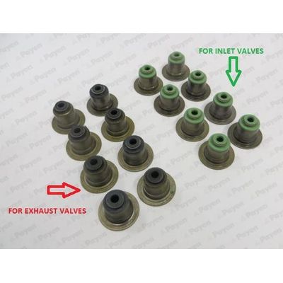 Supap Lastiği  PAYEN HR5063