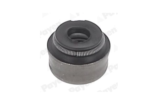 Supap Lastiği  PAYEN PA5025