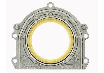 Krank Keçesi Ön PAYEN LK5002  LUF100420