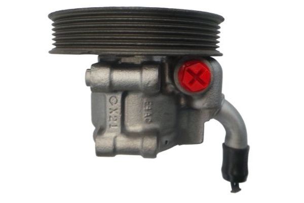 Direksiyon Pompası  SPIDAN 52871