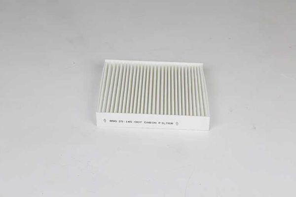 Polen Filtresi  Abarth 500 (150)(2008->)  BSG 25-145-007