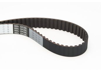 Triger Kayışı  CONTINENTAL CT512  844F6K288AB 6138677