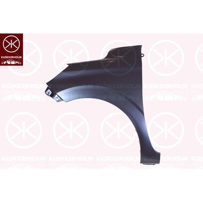 Çamurluk Ön Sağ Hyundai i10 (AC3)(01.2020->)  EUROBUMP HUN08I1041