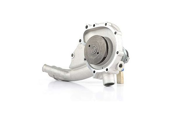 Devirdaim Su Pompası  BSG 60-500-021