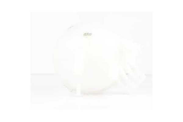 Radyatör Yedek Su Deposu  Volkswagen Crafter Kamyonet (2F)(03.2006->2017)  BSG 90-550-010