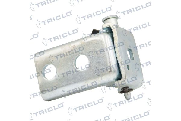Kapı Menteşesi Ön Sol Citroen Spacetourer / Space (06.2016->)  BITAPART BPE309531
