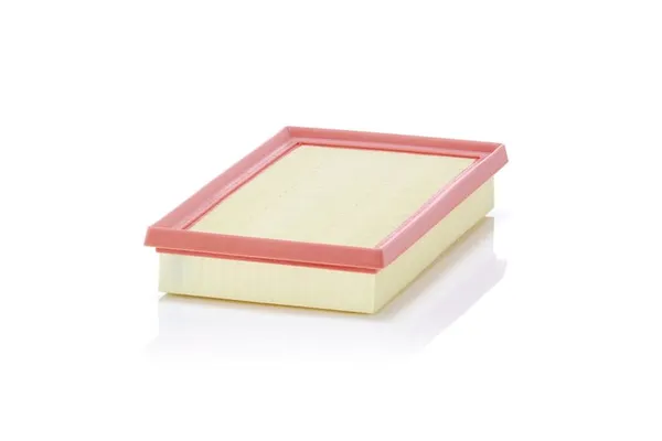 Hava Filtresi  Toyota RAV4 (A5)(2019->)  MANN C 27 063