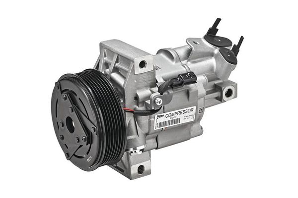 Klima Kompresörü  VALEO 813177