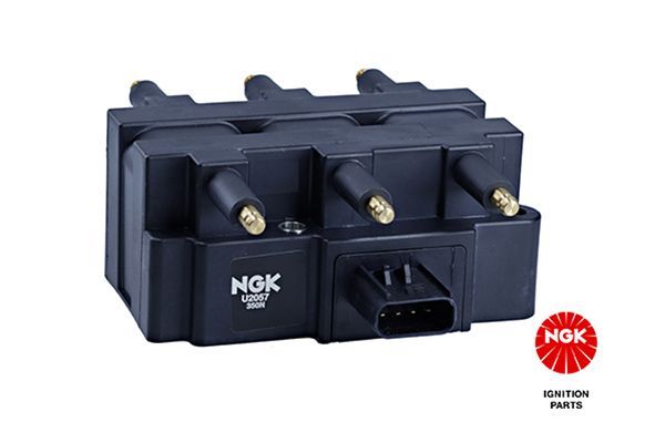Ateşleme Bobini  NGK 48260