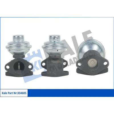 Egr Valfi  KALE 354610