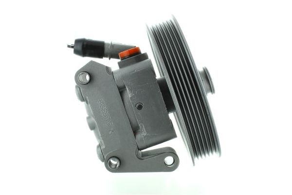 Direksiyon Pompası  SPIDAN GKNY10018