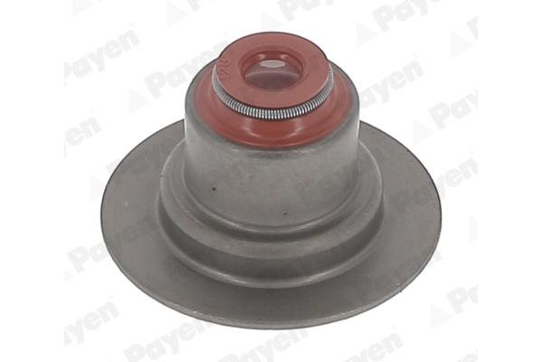 Supap Lastiği  PAYEN HR5145