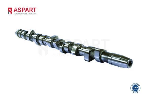 Eksantrik Mili  ASPART 8CAM1014