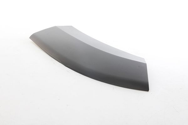 Çamurluk Bandı Ön Sol BSG 25-922-029