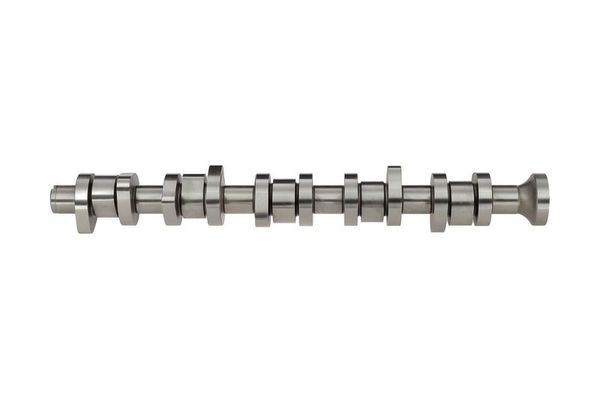 Eksantrik Mili  GEMSAFT VWTNP15