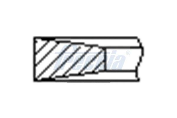 Segman (75.00MM-100)  GOETZE 68383110G