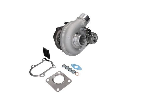 Turbo Şarj  BSG 25-100-014