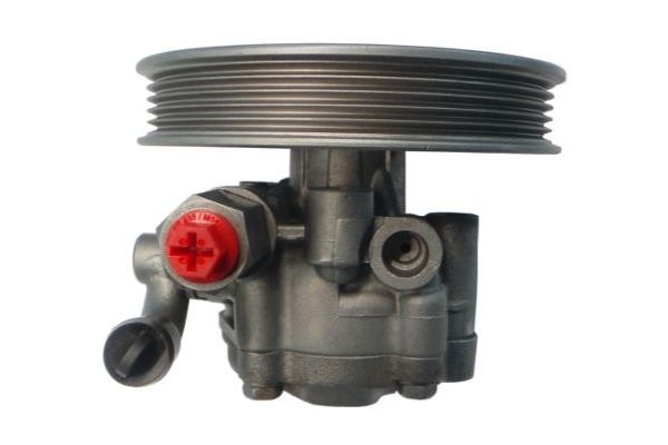 Direksiyon Pompası  SPIDAN GKNY10056