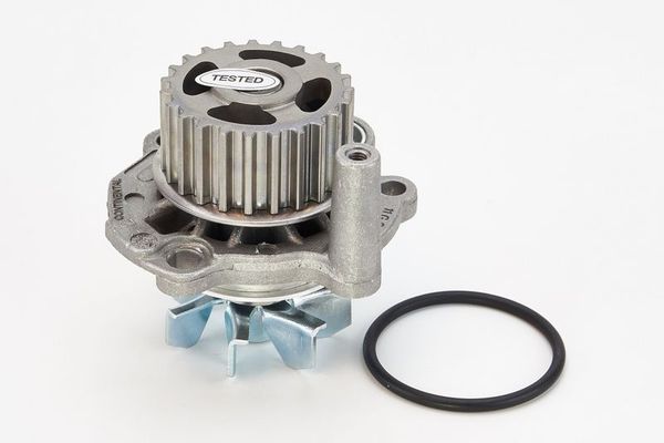 Devirdaim Su Pompası  Audi A3 (8L)(09.1996->)  CONTINENTAL WP6041