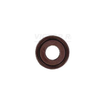 Supap Lastiği  REINZ 70-53547-10