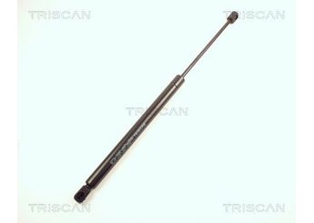 Bagaj Amortisörü Sağ veya Sol MGA 93149  8731F8 8731.F8