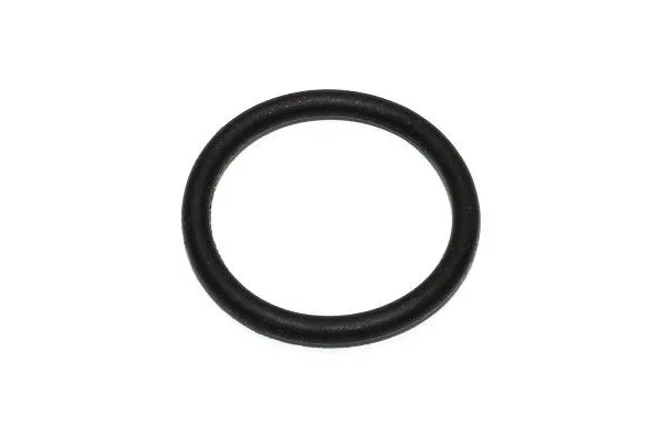 Karter Contası  ELRING 163.480