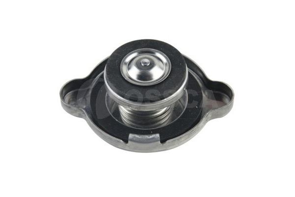 Radyatör Kapağı  MOBIS 253303Z000