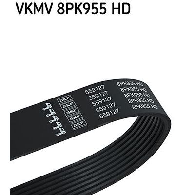 Vantilatör Kayışı  SKF VKMV 8PK955 HD