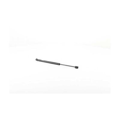 Motor Kaput Amortisörü Sağ veya Sol BSG 15-980-073