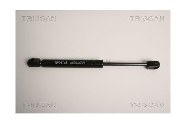 Bagaj Amortisörü Sağ veya Sol FROW 509.1650.006