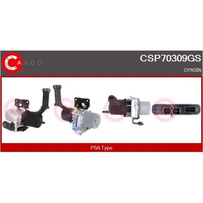 Direksiyon Pompası  Citroen C4 5 Kapı (08.2010->)  PSA ORJINAL 1610309780