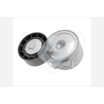 Vantilatör Kayış Gergi Rulmanı  Fiat Ducato P.Van 15 (03.2002->)  GVA 2745220K