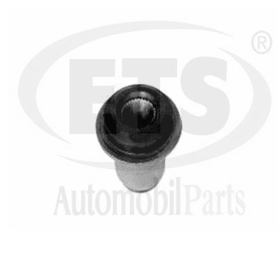 Salıncak Burcu Ön Üst Sağ veya Sol RIW FO11113K